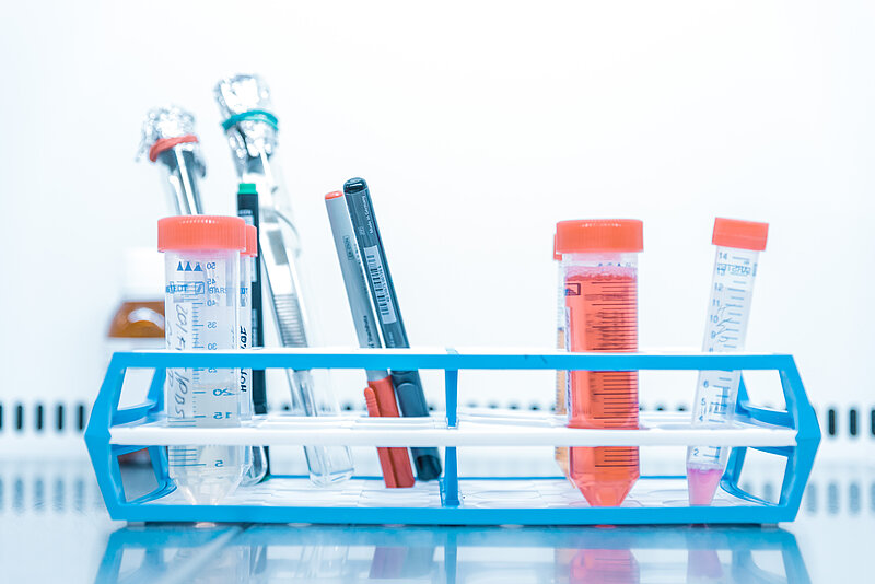 How are sugar levels, digestion and diets connected to type 1 diabetes patients? 